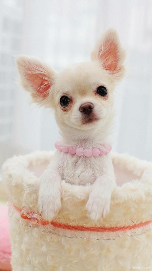 ȫIPOʶӽʷλ гǹĭ