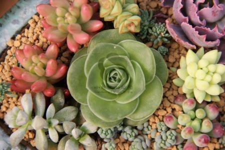 籩Ϯ ½߷ٳÿСʱ100